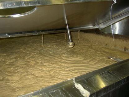Healthy yeast krausen, Buntingford Brewery